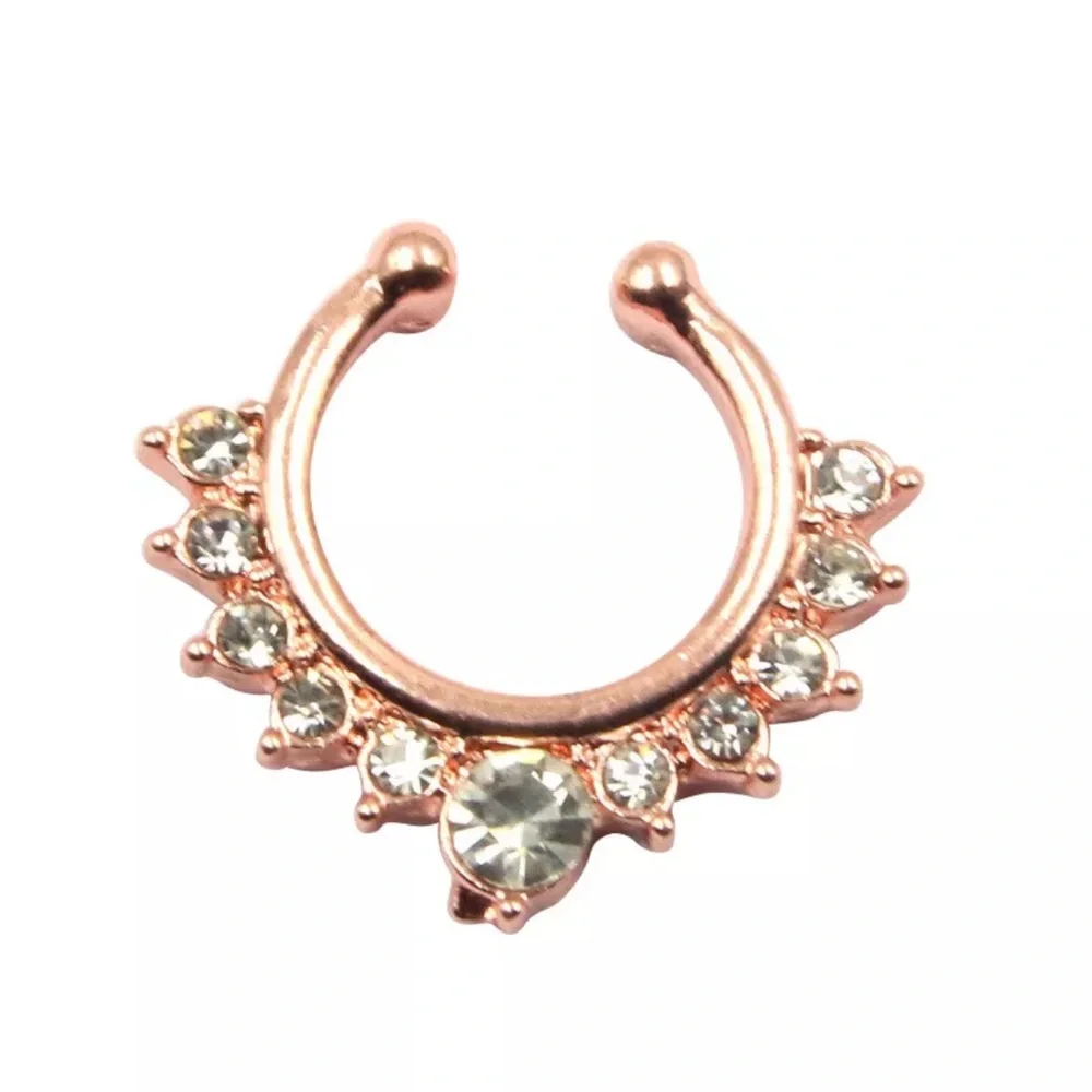 Nose ring 
Qty 1 - Picture 2 of 5